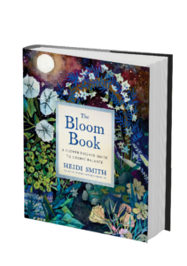 bloom book cover 
